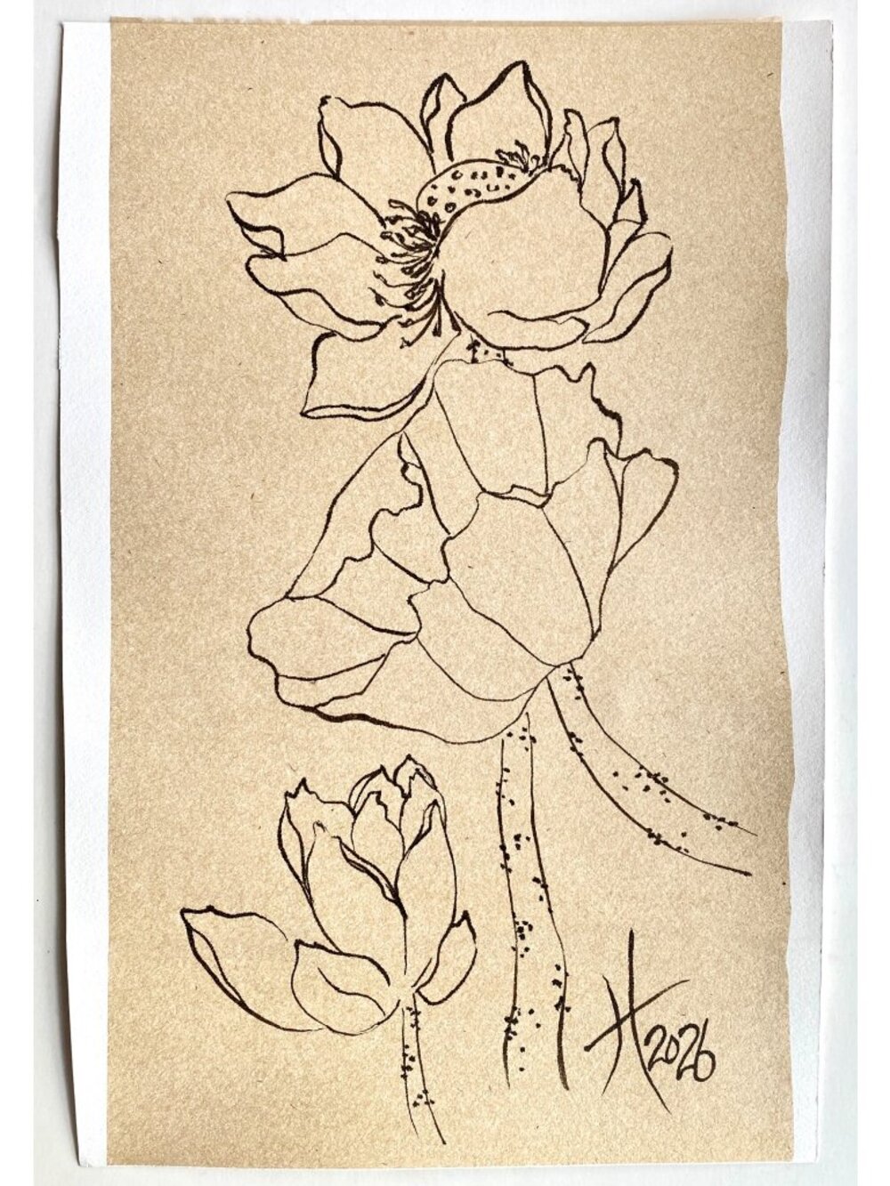 Lotus Study Original Art Asian Style Sumi-e Ink Floral Painting on Paper